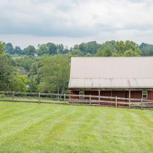 Photo #15 of 1148 Saddle Club Drive, Goode, VA 24.2 acres