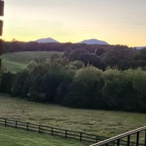 Photo #11 of 1148 Saddle Club Drive, Goode, VA 24.2 acres