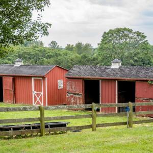 Photo #18 of 1148 Saddle Club Drive, Goode, VA 24.2 acres