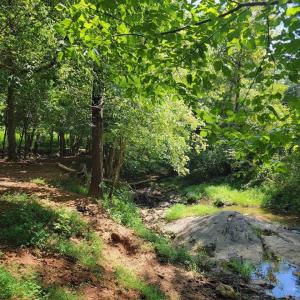 Photo #13 of 1148 Saddle Club Drive, Goode, VA 24.2 acres