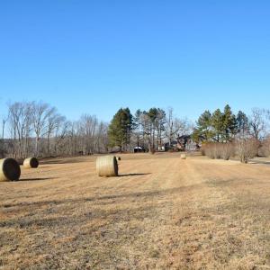 Photo #64 of 1050 Cary Shop Road, Burkeville, VA 104.0 acres