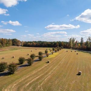 Photo #70 of 1050 Cary Shop Road, Burkeville, VA 104.0 acres