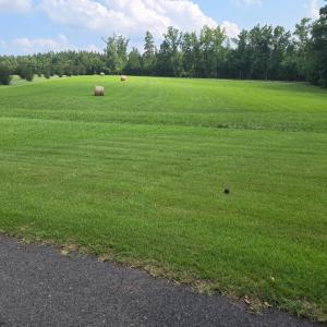 Photo #73 of 1050 Cary Shop Road, Burkeville, VA 104.0 acres