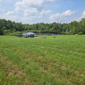 Photo #4 of 1050 Cary Shop Road, Burkeville, VA 104.0 acres