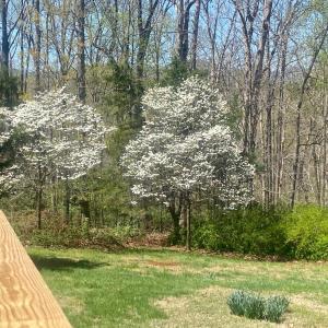 Photo #30 of 143 Lake Drive, Amherst, VA 0.5 acres