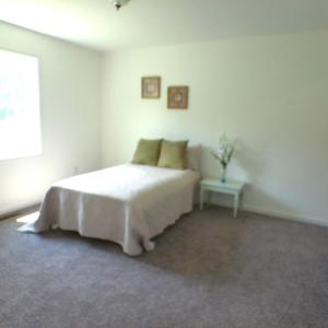 Photo #34 of 188 Main Street, Madison Heights, VA 0.2 acres
