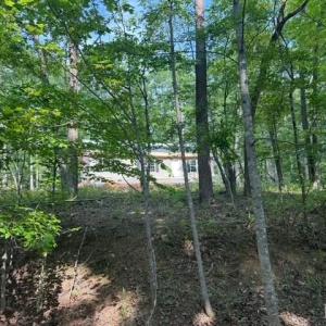 Photo #3 of 19 Cedar Bluff Lane, Hardy, VA 0.5 acres