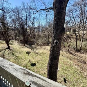Photo #23 of 2809 Herbert Street, Lynchburg, VA 0.1 acres