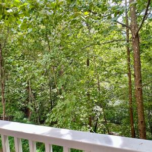 Photo #67 of 120 Lakecrest Drive, Hardy, VA 0.5 acres