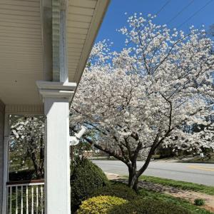 Photo #4 of 805 Longwood Avenue, Bedford, VA 1.1 acres