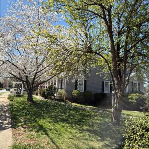 Photo #3 of 805 Longwood Avenue, Bedford, VA 1.1 acres