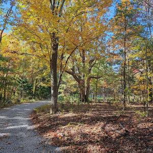 Photo #90 of 700 Cloudcroft Drive, Monroe, VA 53.5 acres