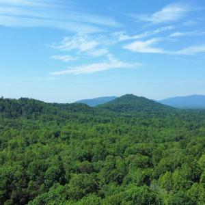 Photo #92 of 700 Cloudcroft Drive, Monroe, VA 53.5 acres