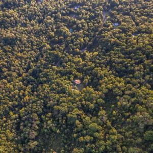 Photo #89 of 700 Cloudcroft Drive, Monroe, VA 53.5 acres