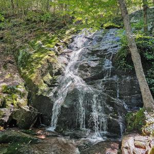 Photo #90 of 700 Cloudcroft Drive, Monroe, VA 53.5 acres