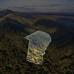 Photo #7 of 700 Cloudcroft Drive, Monroe, VA 53.5 acres