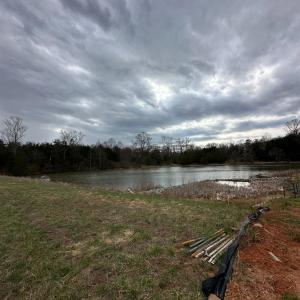 Photo #6 of 1217 Snowfield Cir, Lynchburg, VA 0.3 acres