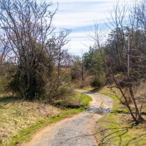 Photo #51 of 1962 McDaniel Road, Bedford, VA 80.0 acres