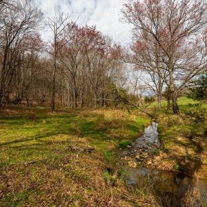 Photo #52 of 1962 McDaniel Road, Bedford, VA 80.0 acres