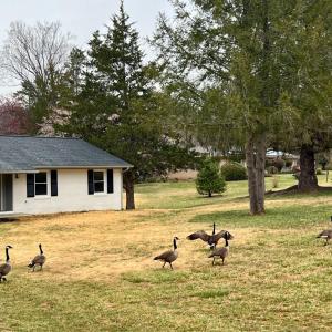 Photo #71 of 100 Northwest Lane, Charlottesville, VA 2.0 acres