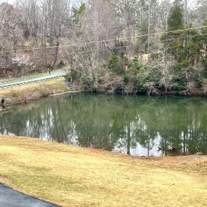 Photo #58 of 100 Northwest Lane, Charlottesville, VA 2.0 acres