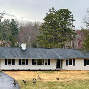 Photo #65 of 100 Northwest Lane, Charlottesville, VA 2.0 acres