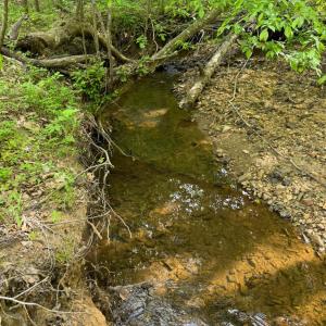 Photo #66 of 1746 Wheeler Road, Lynchburg, VA 13.5 acres