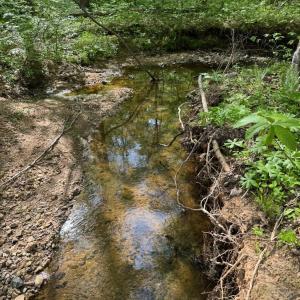 Photo #67 of 1746 Wheeler Road, Lynchburg, VA 13.5 acres