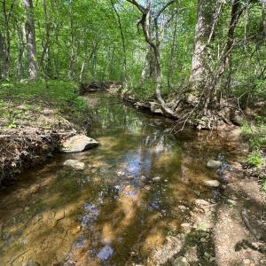 Photo #65 of 1746 Wheeler Road, Lynchburg, VA 13.5 acres