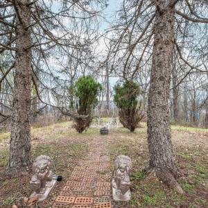 Photo #85 of 4404 Murray Hollow Road, Thaxton, VA 51.0 acres