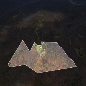 Photo #92 of 4404 Murray Hollow Road, Thaxton, VA 51.0 acres