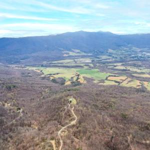 Photo #88 of 4404 Murray Hollow Road, Thaxton, VA 51.0 acres