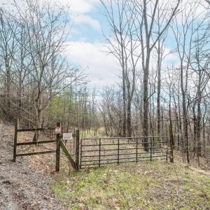 Photo #90 of 4404 Murray Hollow Road, Thaxton, VA 51.0 acres