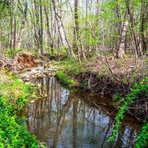 Photo #6 of 239 Little Farm Road, Amherst, VA 5.5 acres
