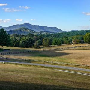 Photo #12 of 1209 Sycamore Creek Drive, Goode, VA 9.5 acres