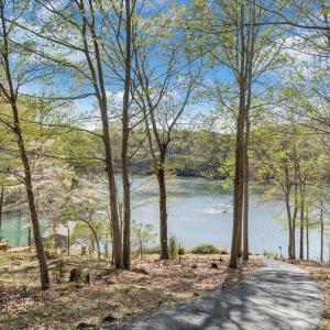 Photo #51 of 806 Cedar Key Lane, Huddleston, VA 1.7 acres