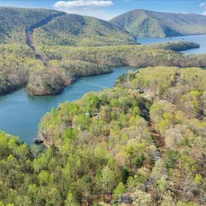 Photo #65 of 806 Cedar Key Lane, Huddleston, VA 1.7 acres
