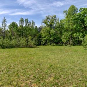 Photo #55 of 4184 Welsh Tract Road, Charlotte Court House, VA 5.2 acres