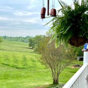 Photo #66 of 216 Burford Farm Road, Monroe, VA 2.3 acres