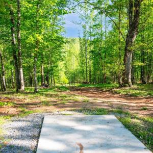 Photo #70 of 1132 Bancroft, Goode, VA 40.1 acres