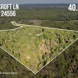 Photo #5 of 1132 Bancroft, Goode, VA 40.1 acres