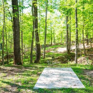 Photo #69 of 1132 Bancroft, Goode, VA 40.1 acres