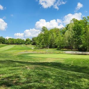 Photo #10 of 1057 Barrow Hills Drive, Moneta, VA 0.3 acres