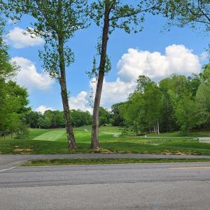 Photo #9 of 1057 Barrow Hills Drive, Moneta, VA 0.3 acres