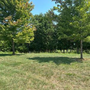 Photo #42 of 1057 Barrow Hills Drive, Moneta, VA 0.3 acres