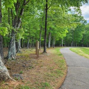 Photo #45 of 1057 Barrow Hills Drive, Moneta, VA 0.3 acres