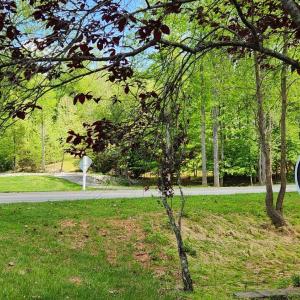 Photo #8 of 1057 Barrow Hills Drive, Moneta, VA 0.3 acres