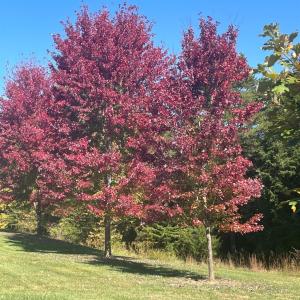 Photo #7 of 1057 Barrow Hills Drive, Moneta, VA 0.3 acres