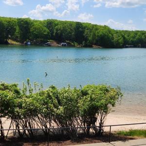 Photo #65 of 1057 Barrow Hills Drive, Moneta, VA 0.3 acres