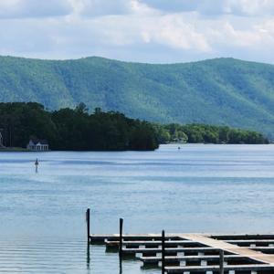 Photo #63 of 1057 Barrow Hills Drive, Moneta, VA 0.3 acres